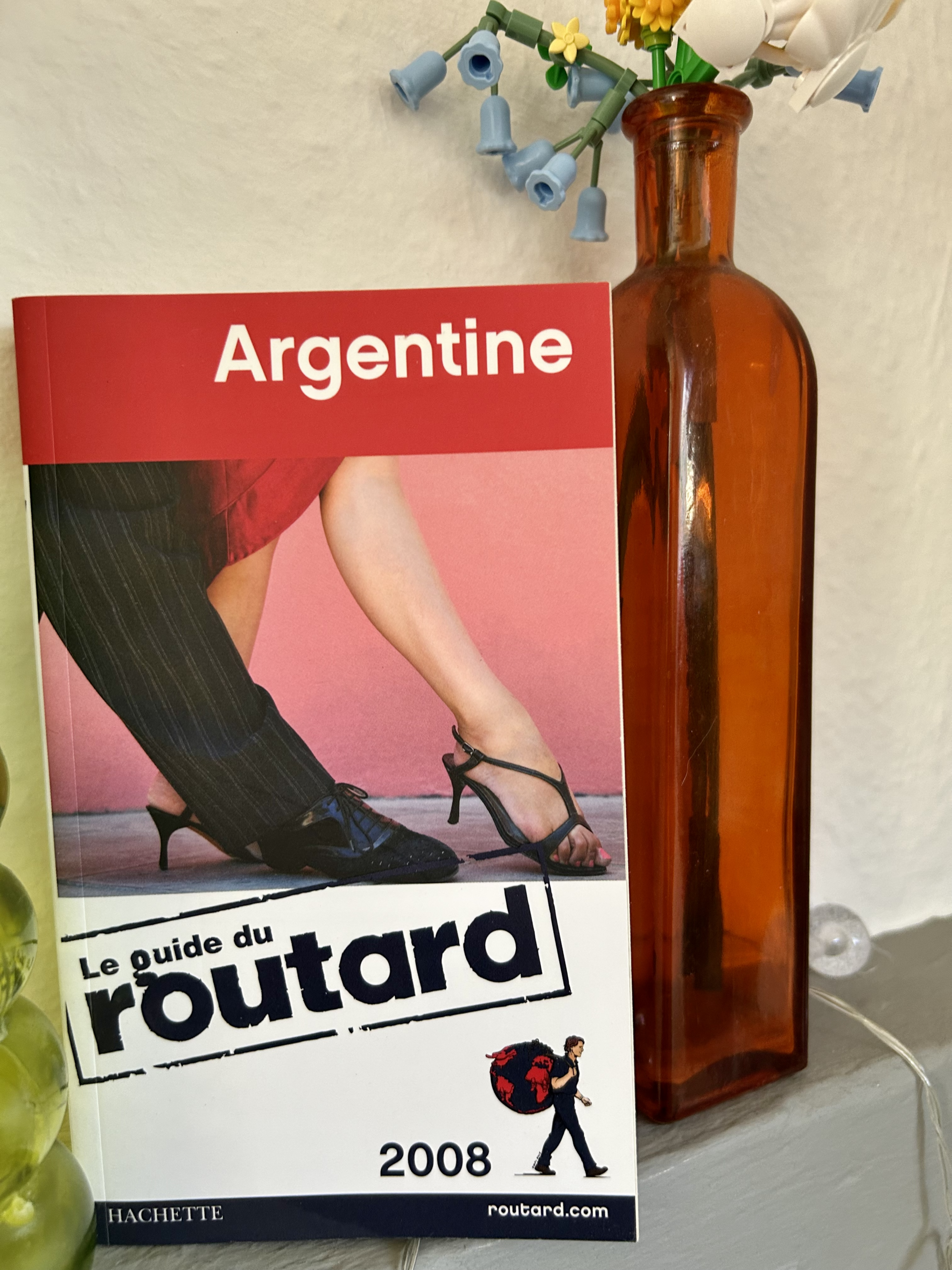 ARGENTINE guide du routard 2008