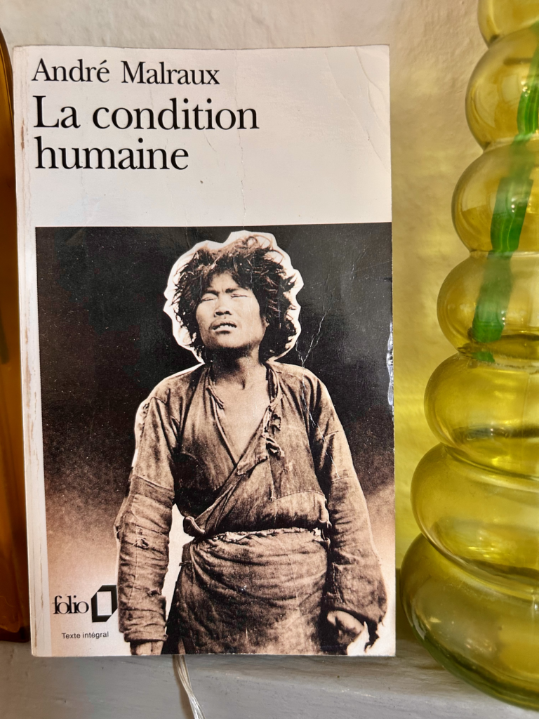 LA CONDITION HUMAINE