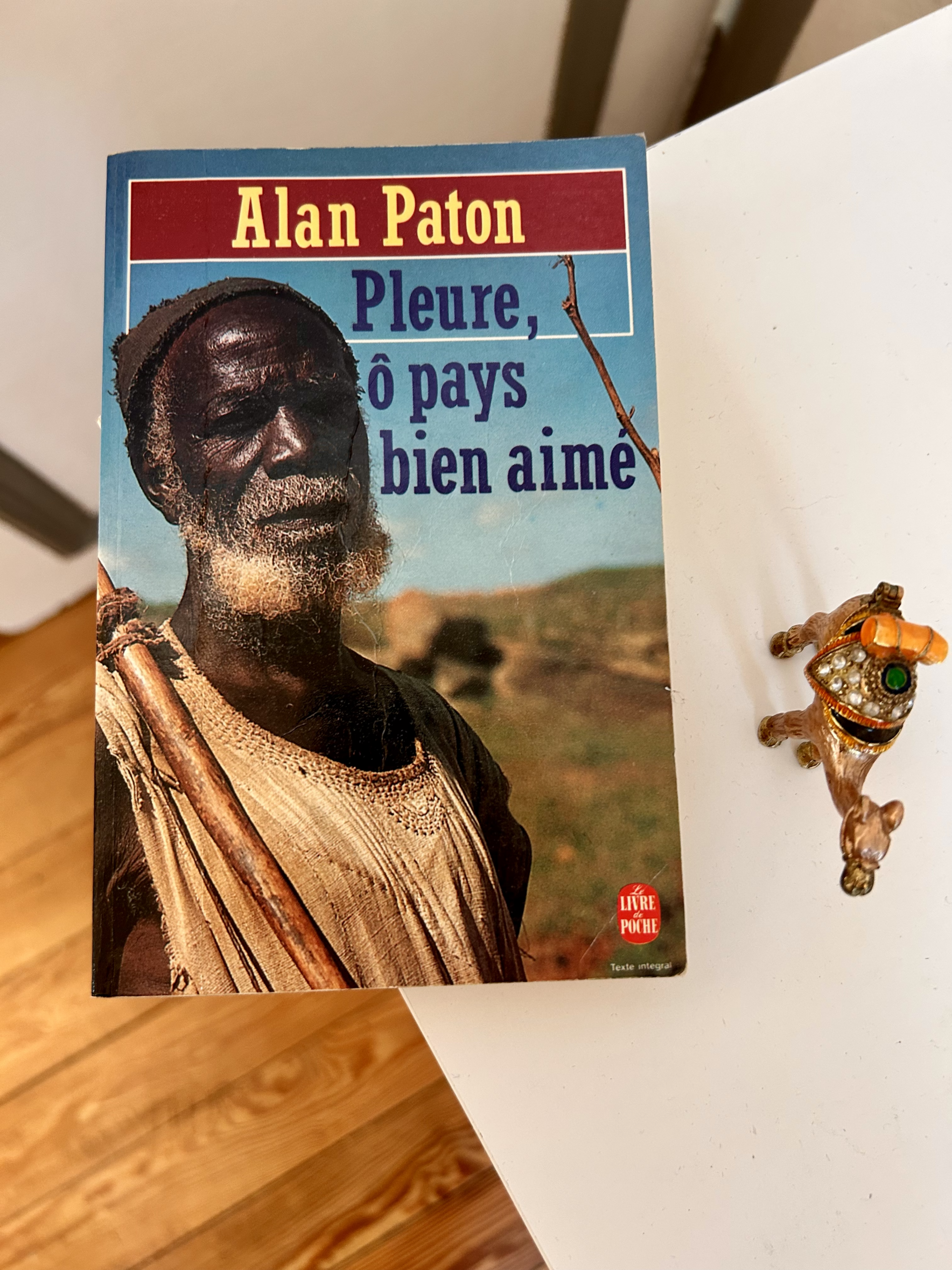 PLEURE, Ô PAYS BIEN-AIMÉ