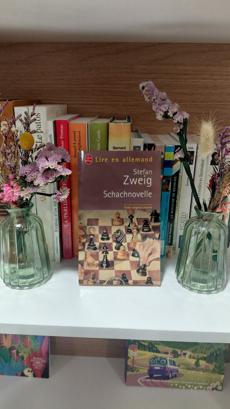 SCHACHNOVELLE